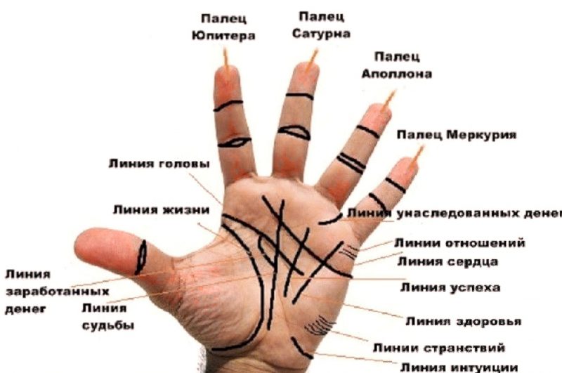 Хиромантия в финансах: о чем могут рассказать линии на руке