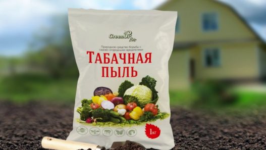 Табачная пыль: неожиданный союзник в борьбе за здоровье комнатных растений